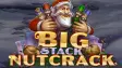 Big Stack Nutcrack Slot