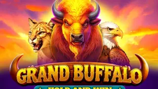 Grand Buffalo Hold & Win slot