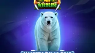 Majestic Polar Bear Slot