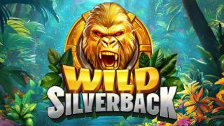 Wild Silverback Slot